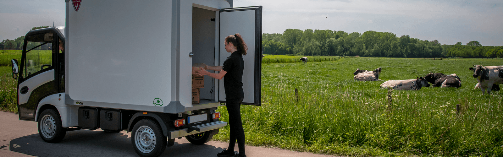 Livraison Ecologique Enjeux et Logistique MIDI PILE