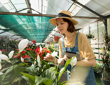 Tips for Growing Vegetables in Containers and Vertical Gardens