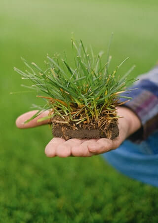 What Are the Most Common Types of Gardening Methods?