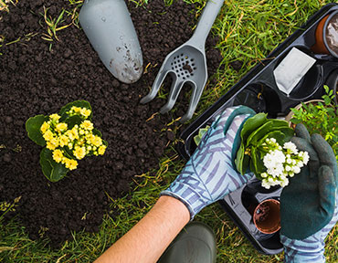 If You're Not Getting Your Garden Harvested Things!