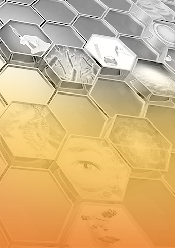 Fast-Track Design: Predictive Preclinical Model