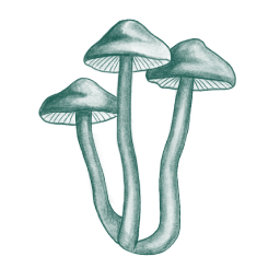 Mushroom icon