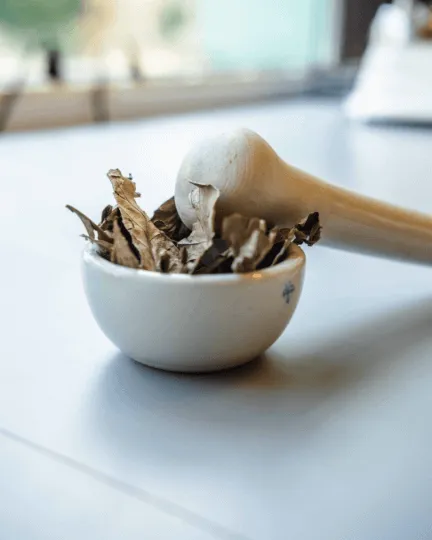 dried ayahuasca in pestle and mortar