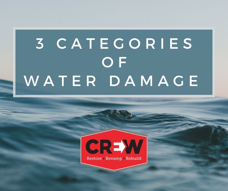 Mold Remediation Near Me