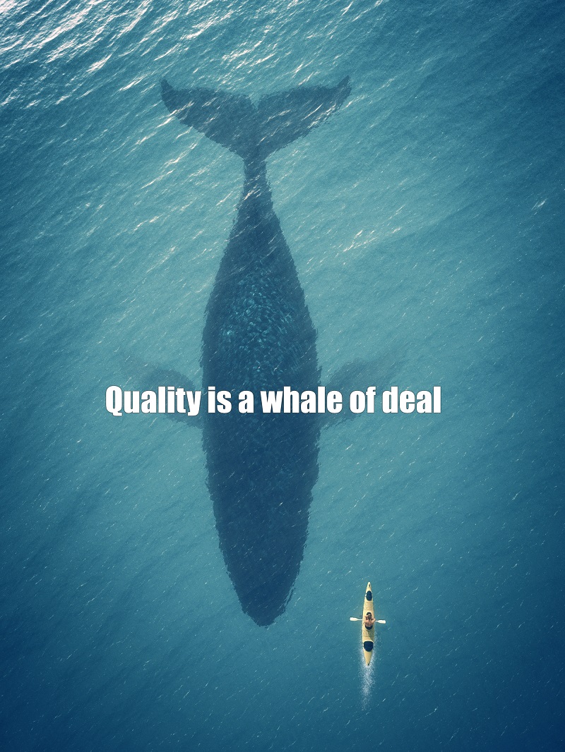 Small kayak in the ocean above the shadow of a large whale