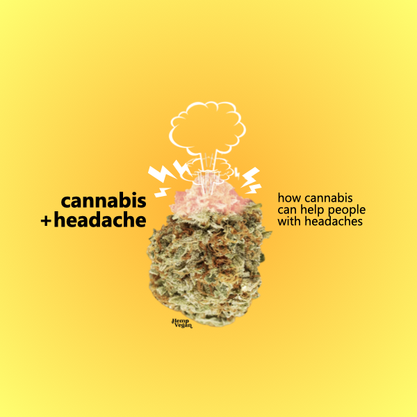 Cannabis and Headache Learn how marijuana can help treat headaches