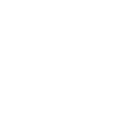 Hammer