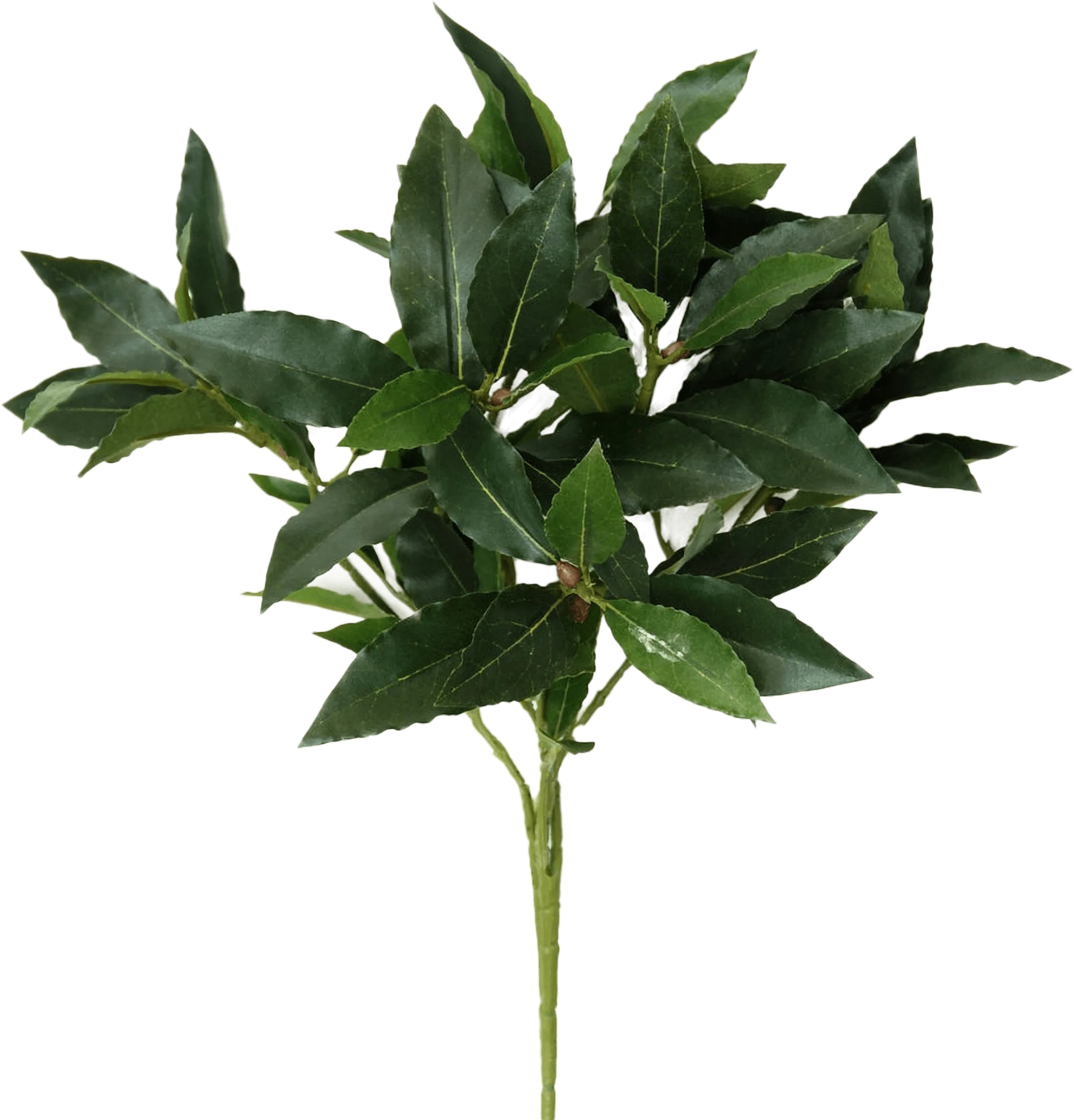 Artificial Trees UK Expert Fake Tree Installation Worldwide from the