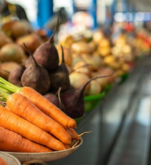 Buy Farmland in Bangalore Managed Farmland Nandi Farms