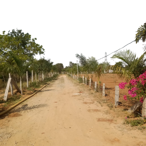 Nandi Farms Phase 1 Buy Agricultural Land for Sale Near Bangalore