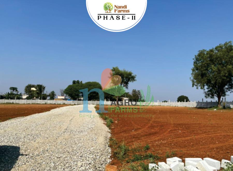 Nandi Farms Phase II