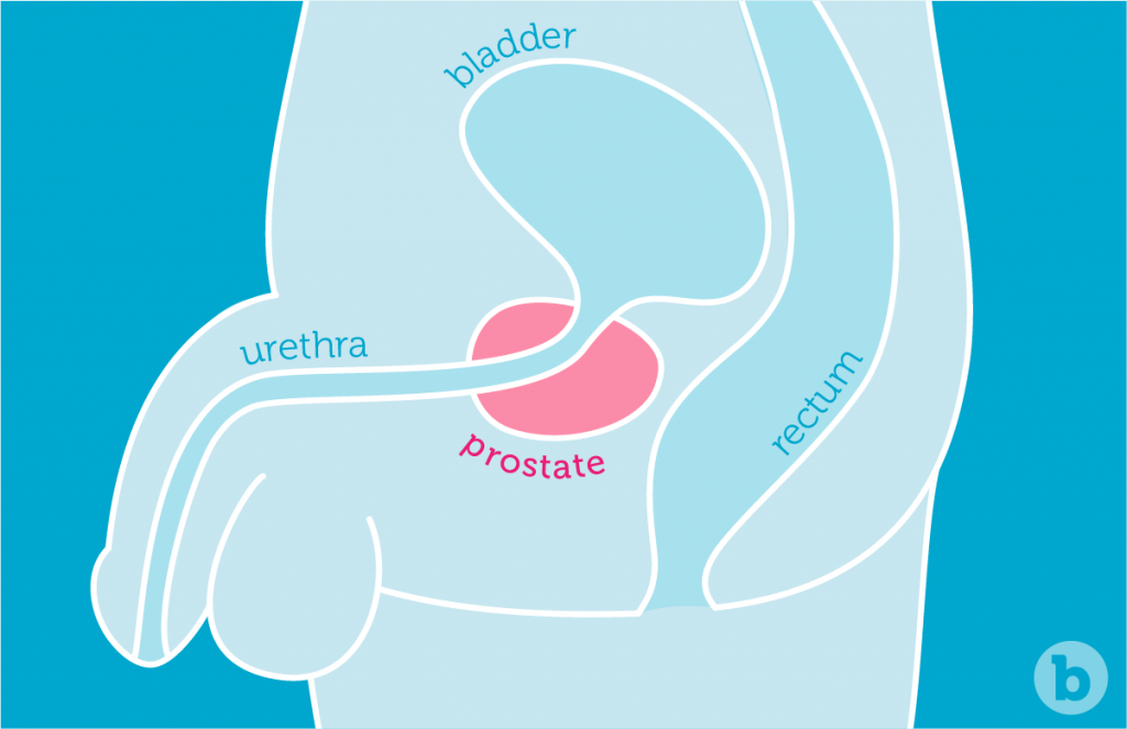 Prostate Play 101 1