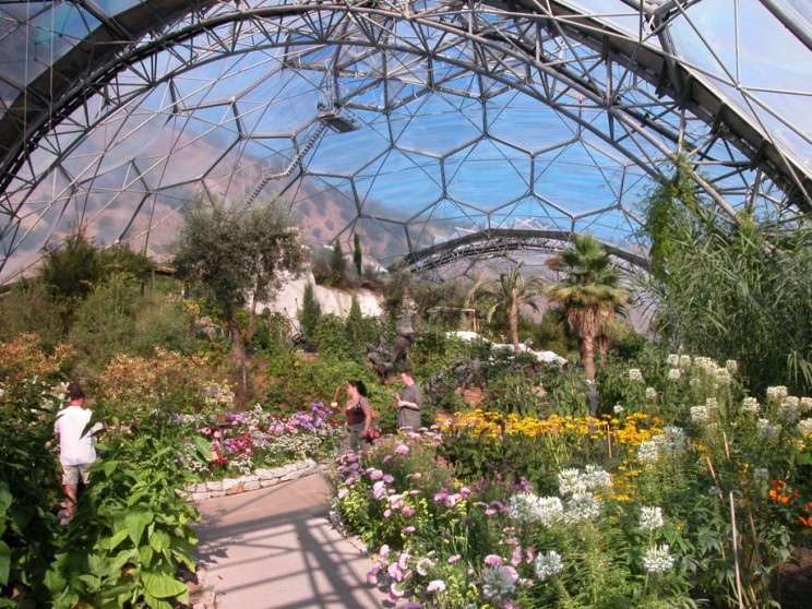 The Eden Project: The largest greenhouse in the world is home to over one million types of plants.