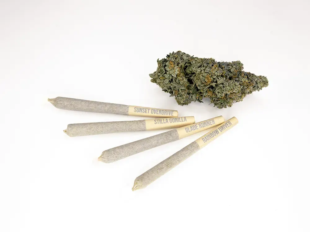 Flight 420