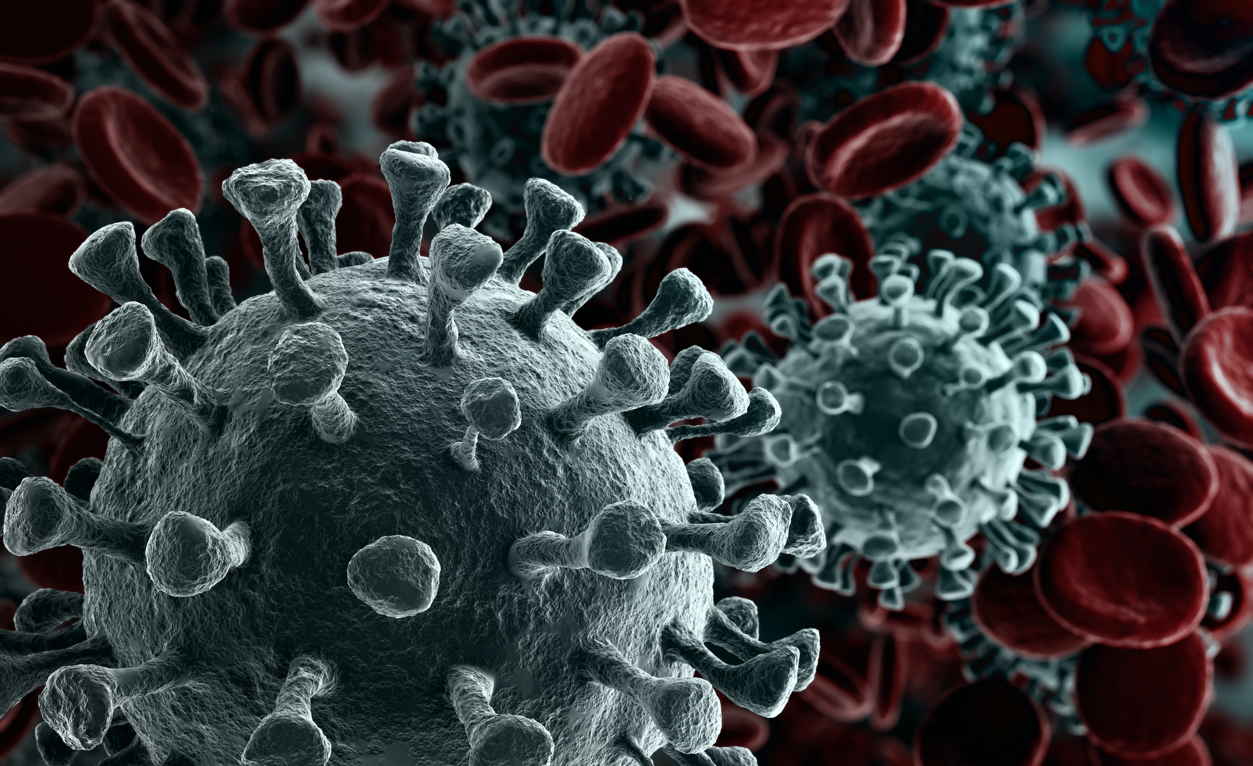 10 Things Employees Should Know About Their Rights During the Coronavirus Crisis
