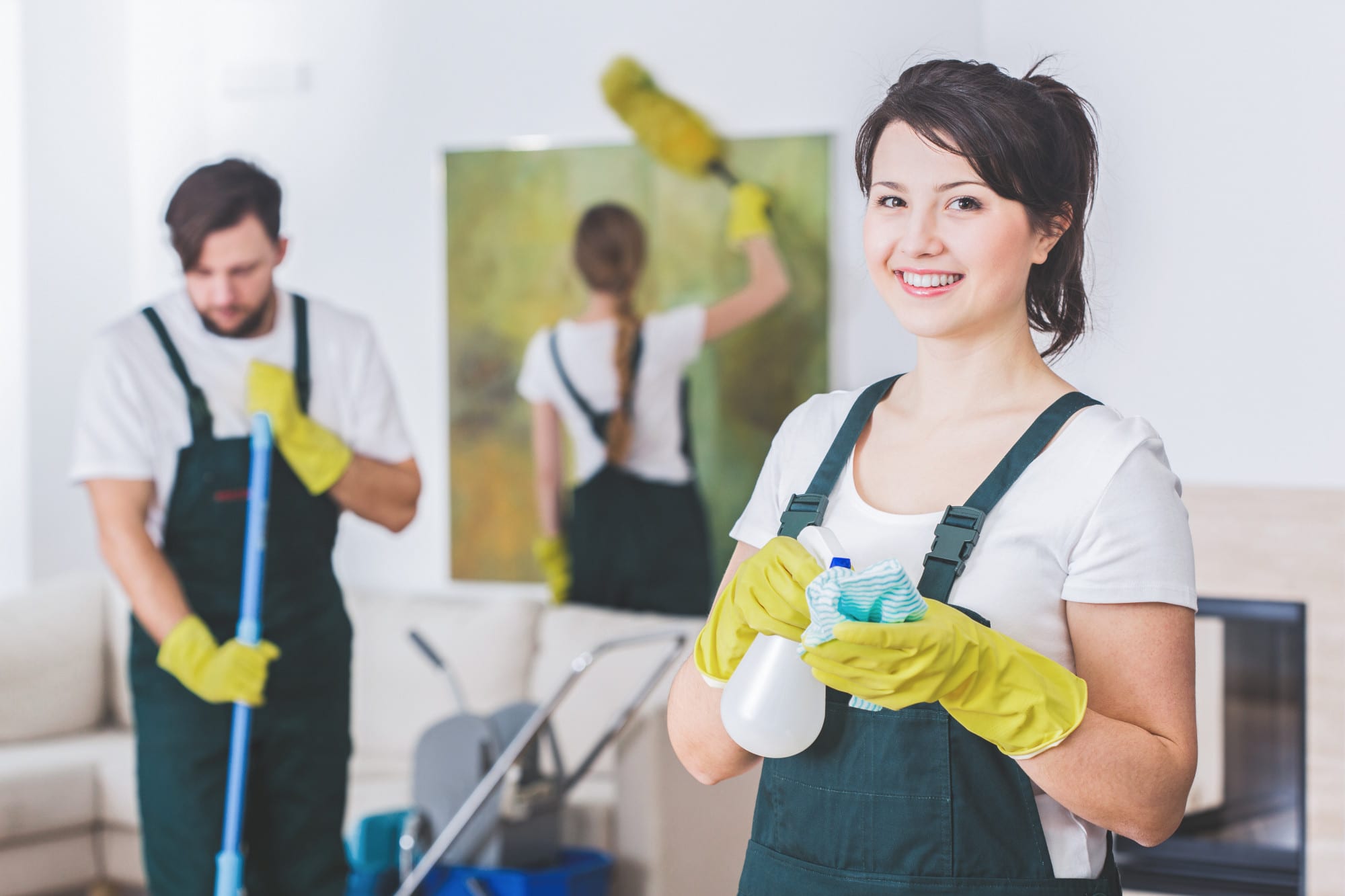 Spring Hill Fl Cleaning Services