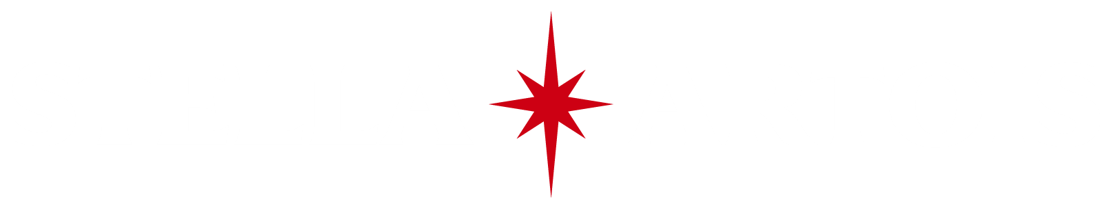 stella artois