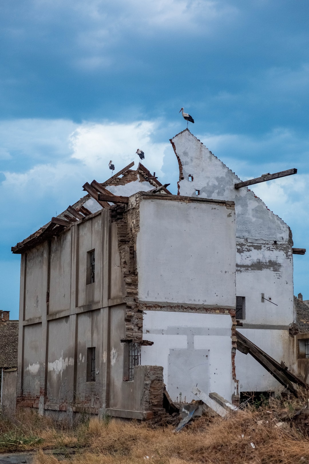 Afropolitan: A Digital Nation - Building on Solid Ground