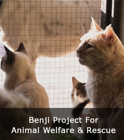 CDRS Animal Rescue