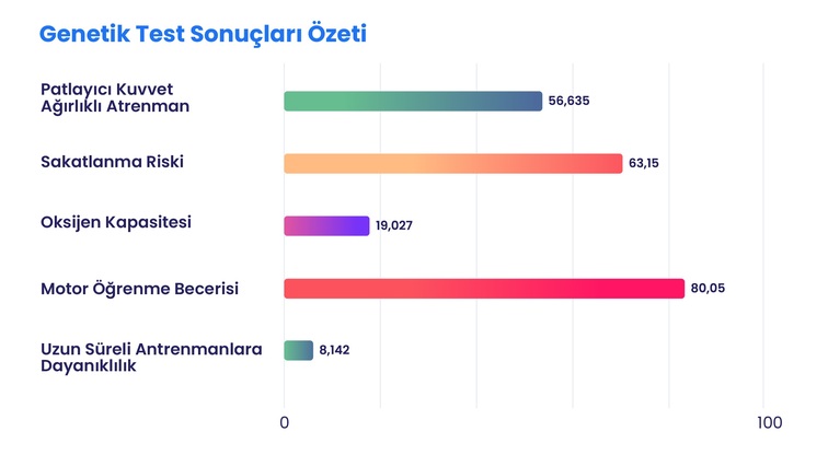 rapor örneği