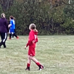 Layni's Rock Shop - Webflow