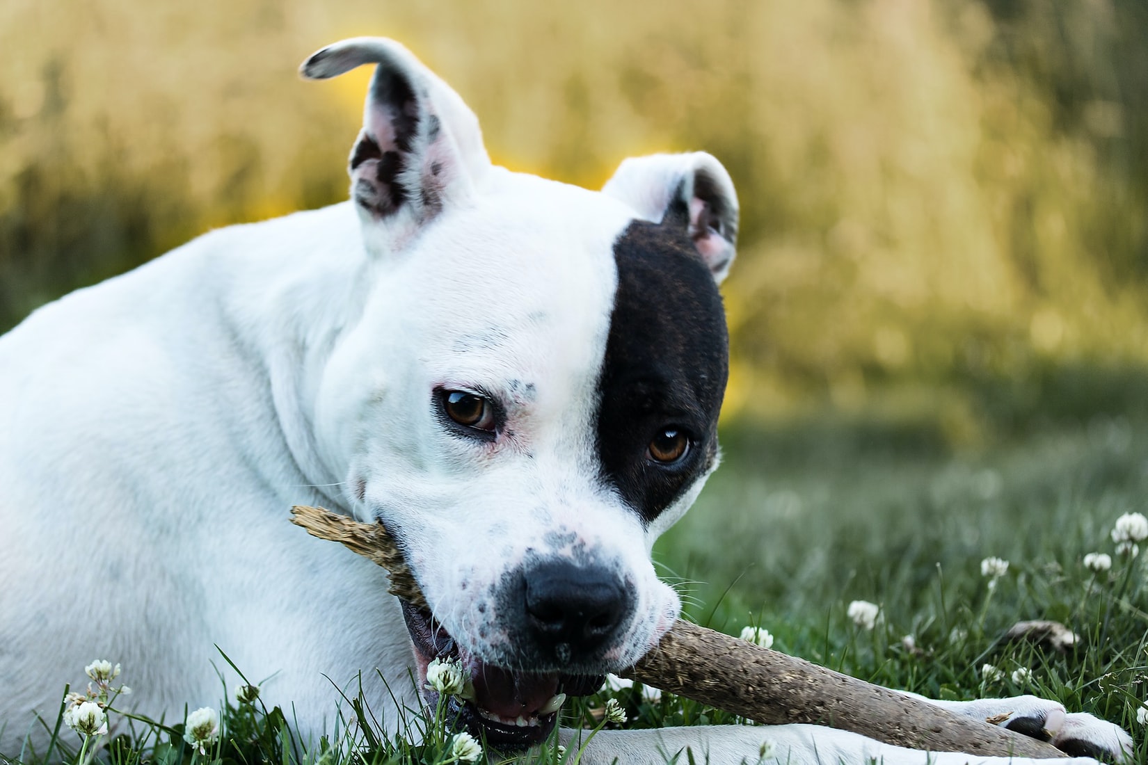 https://images.unsplash.com/photo-1605106988051-98b9017982b5?ixid=MnwxMjA3fDB8MHxwaG90by1wYWdlfHx8fGVufDB8fHx8&ixlib=rb-1.2.1&auto=format&fit=crop&w=1650&q=80
