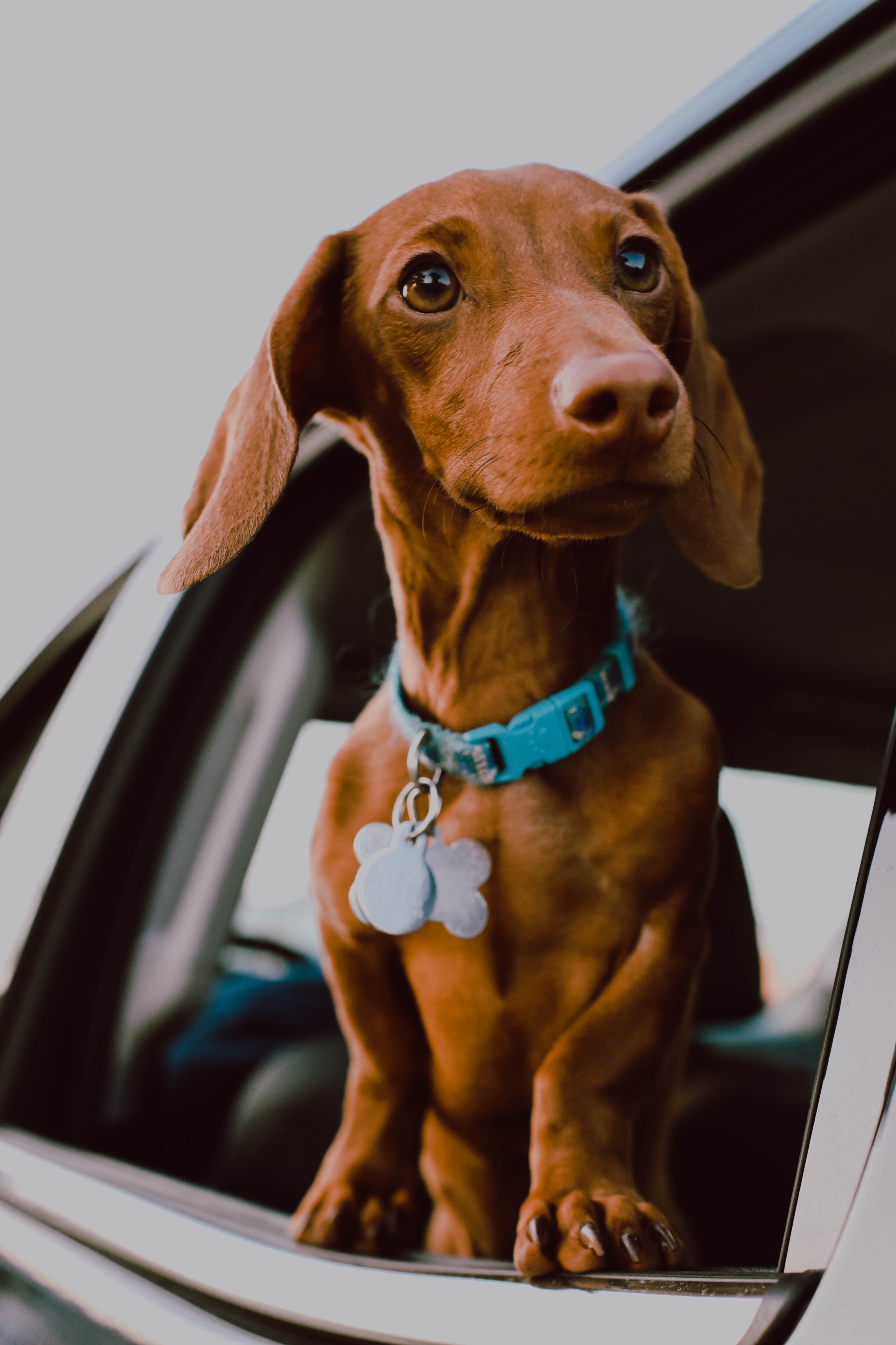 https://images.unsplash.com/photo-1532616934112-95f7d1d49e8c?ixlib=rb-1.2.1&q=80&fm=jpg&crop=entropy&cs=tinysrgb&dl=niki-sanders-5Fq4QaSTjPE-unsplash.jpg