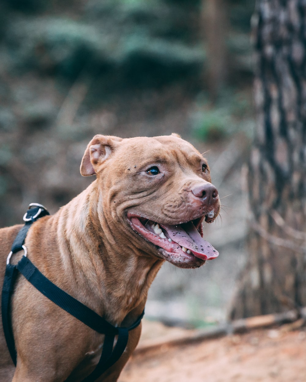 https://images.unsplash.com/photo-1599485211531-b6be91ef5464?ixid=MnwxMjA3fDB8MHxwaG90by1wYWdlfHx8fGVufDB8fHx8&ixlib=rb-1.2.1&auto=format&fit=crop&w=1000&q=80