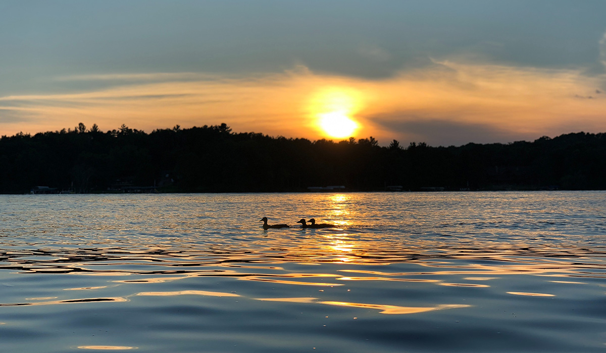 Pros & Cons of Living in Minnesota Minnē Movers