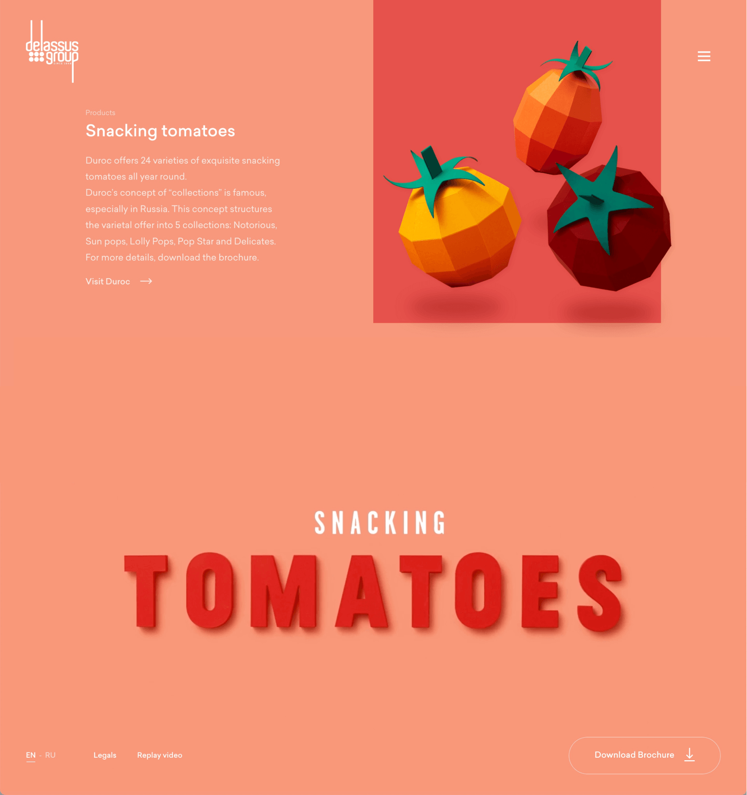 Smooth homepage menu animation with video | Website design inspiration ...