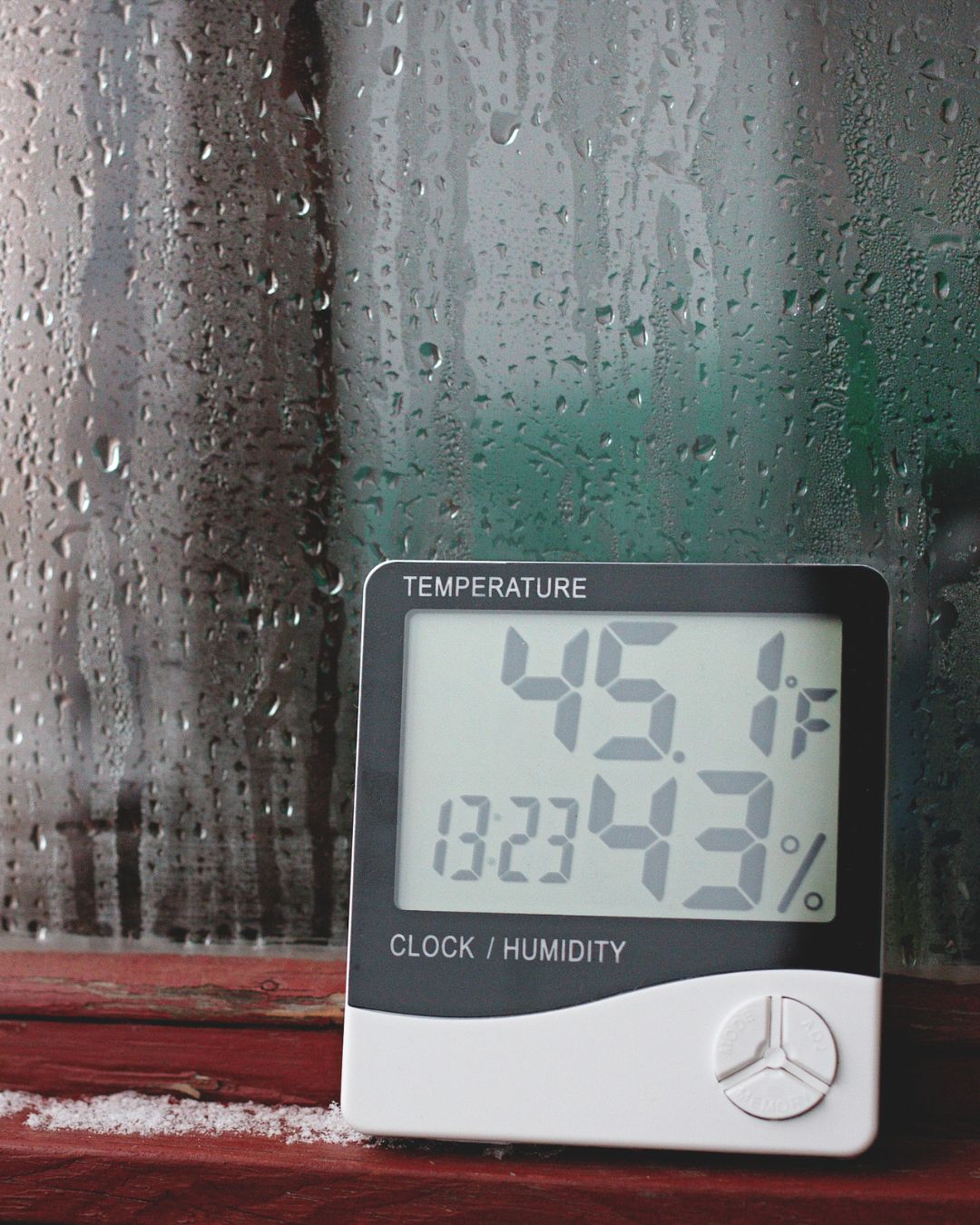 The Best Ways to Store Craft Beer for Optimum Freshness