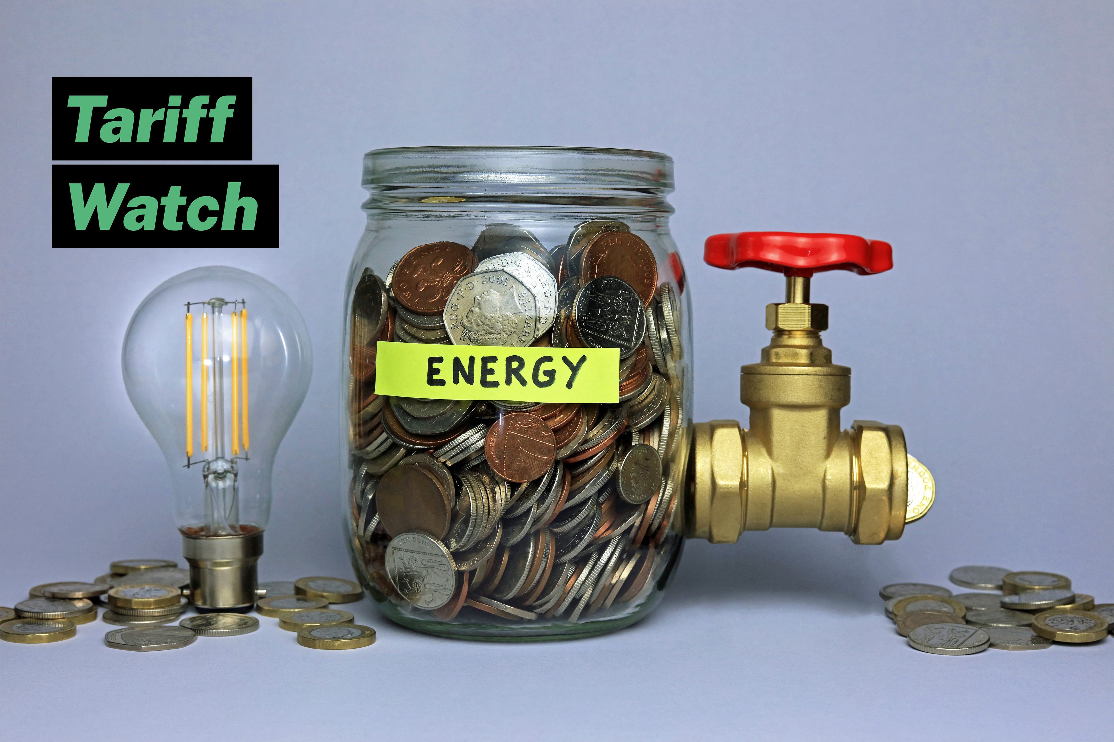 Tariff Watch who’s profiting from the energy crisis?