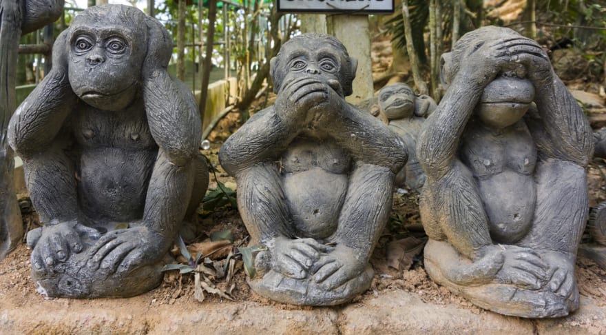Monkeys