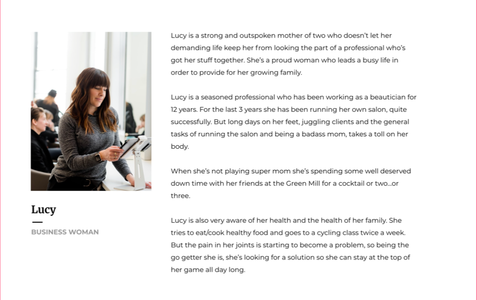 Industry Aligned Consumer Persona Voosh