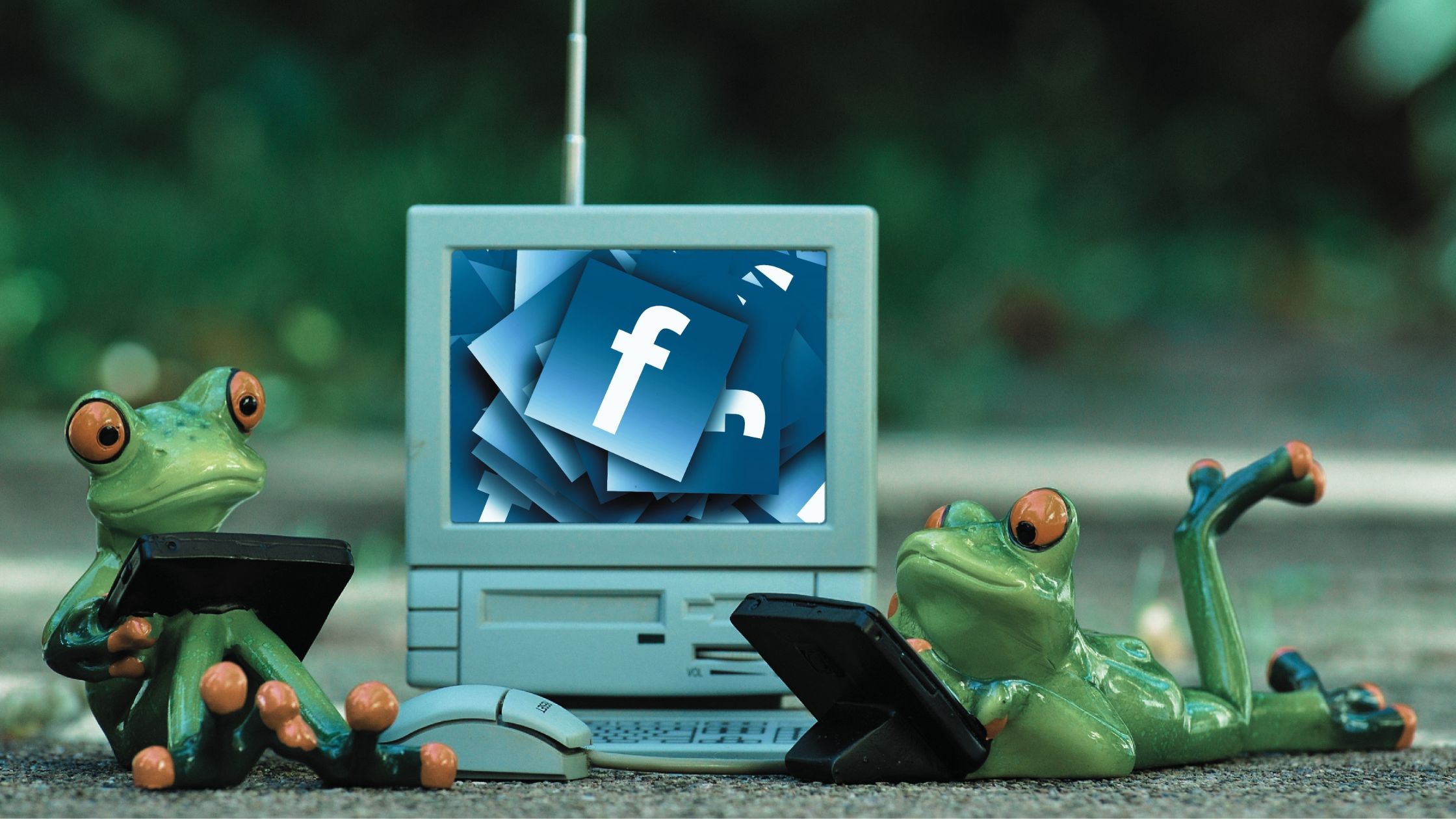 6 Tips To Make Money On Facebook