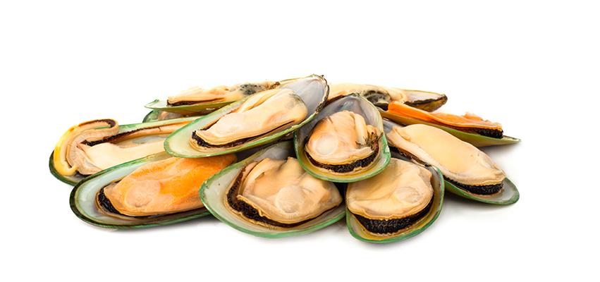 Mussels