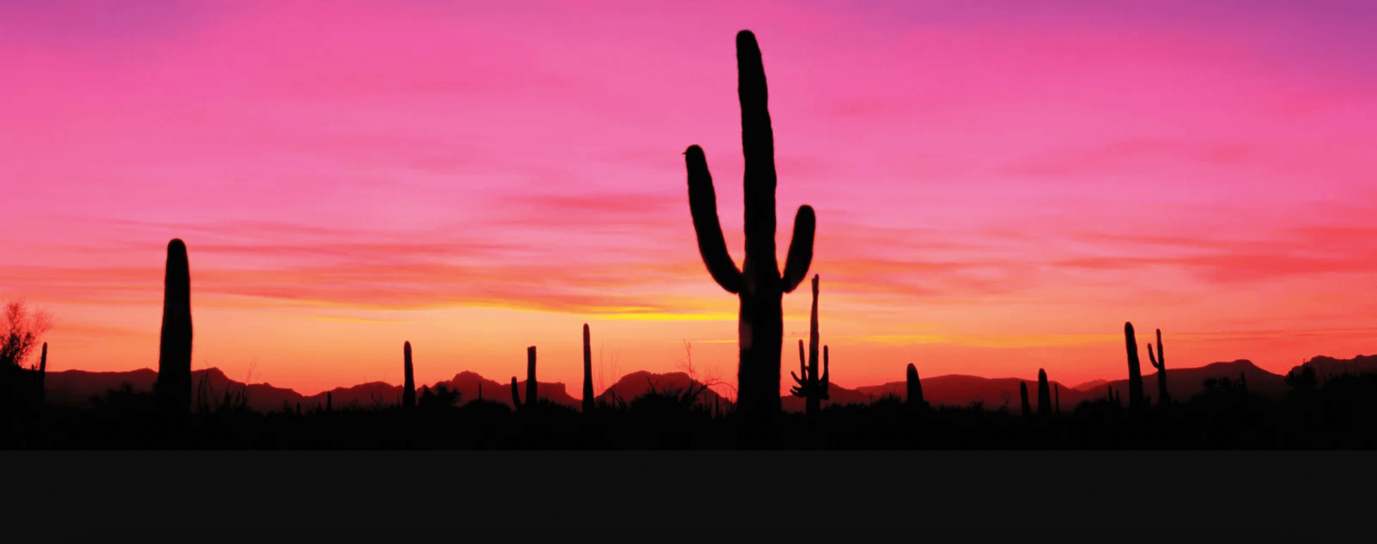 Nurse Injector Training Courses Arizona Botox Training Moxie