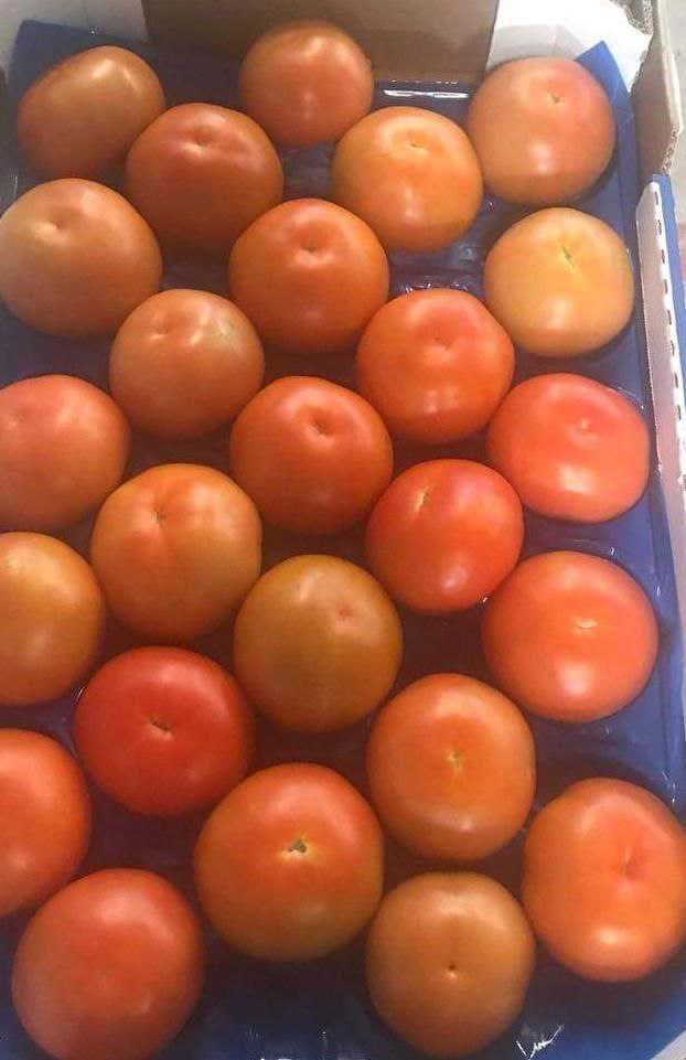 Tomates rondes et rouges