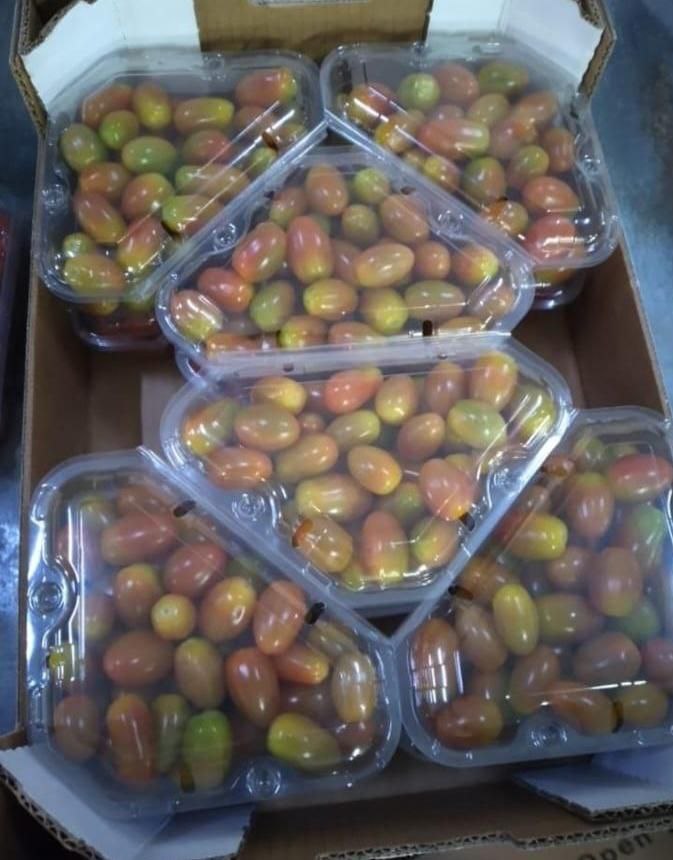 Tomates cerises dans une boîte