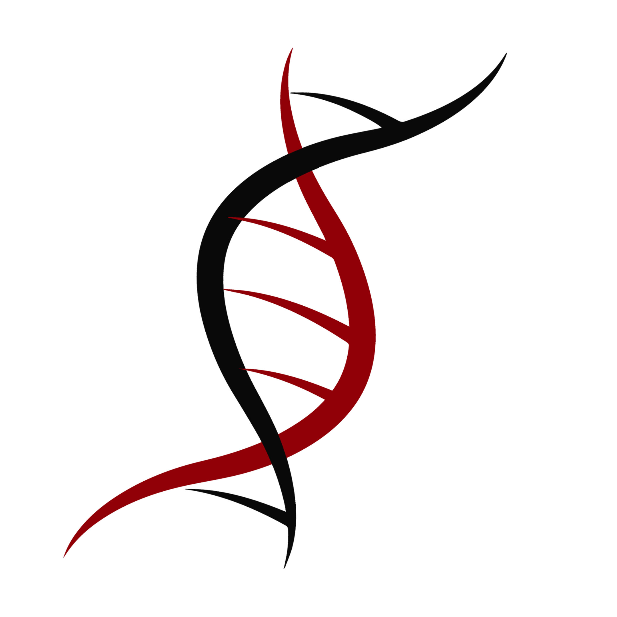 Tribal Helix Inc.