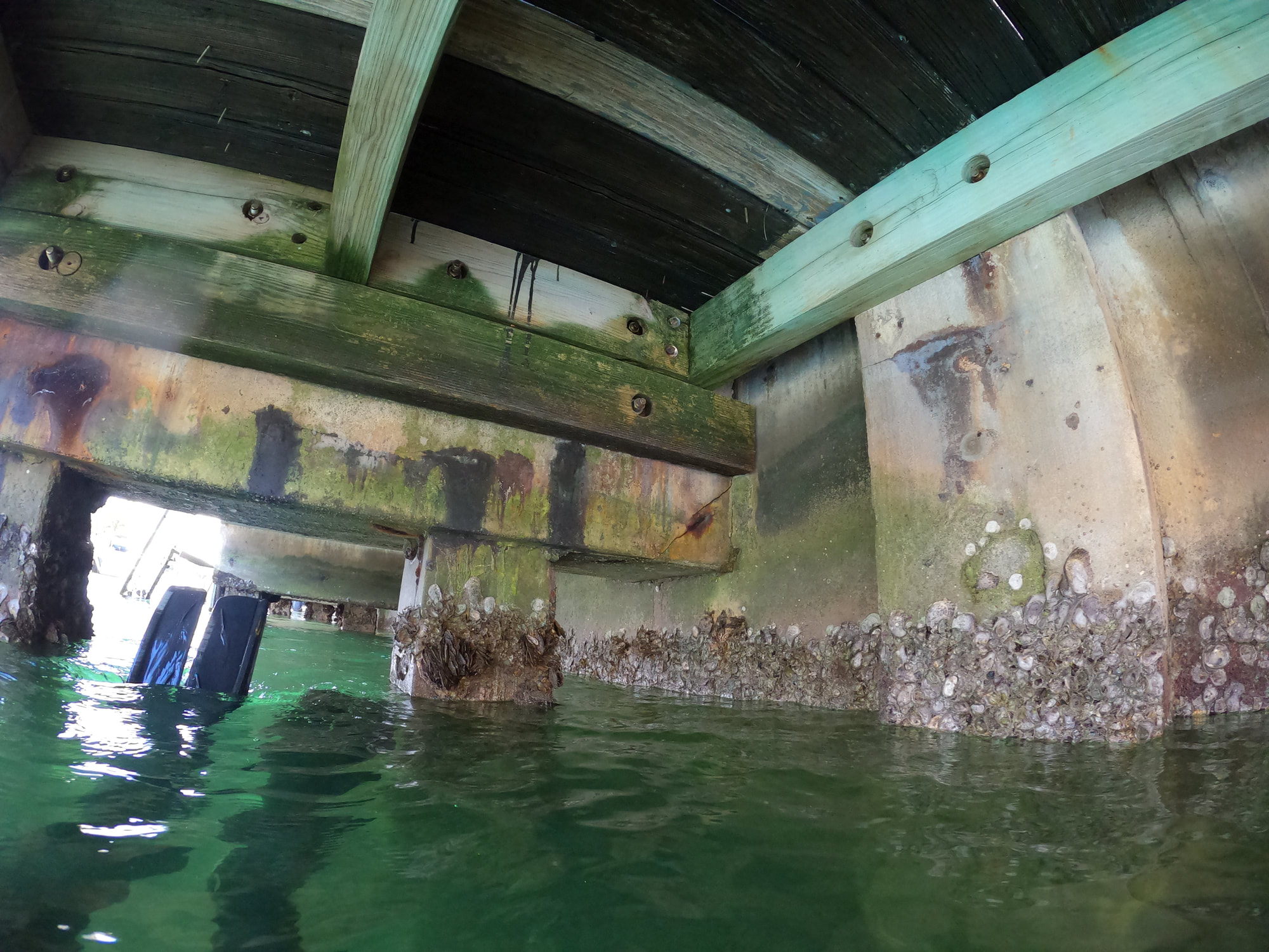 Dock Inspection