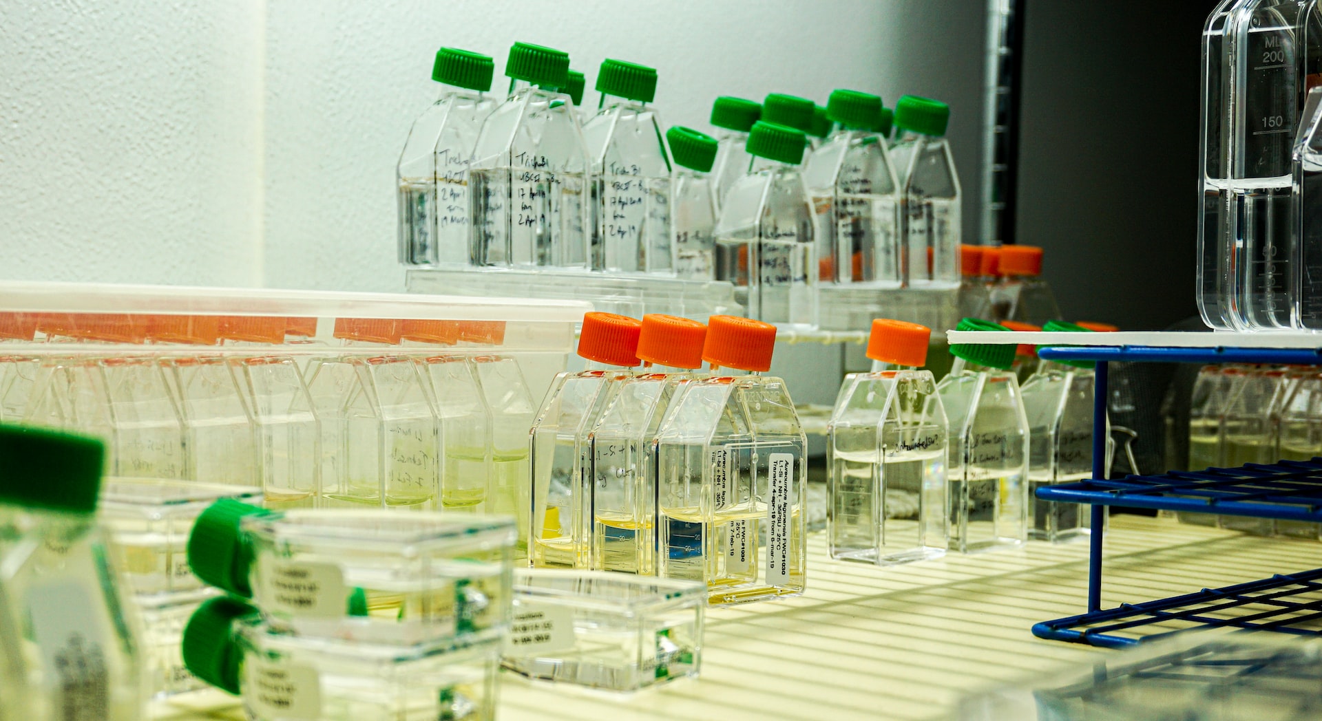 FHA VA Water Quality
