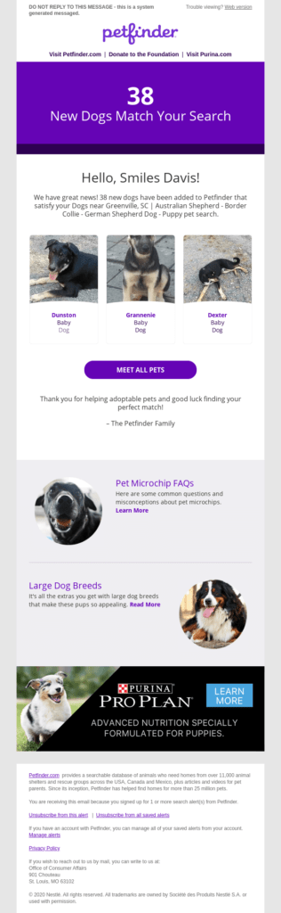 recommendation email example by petfinder