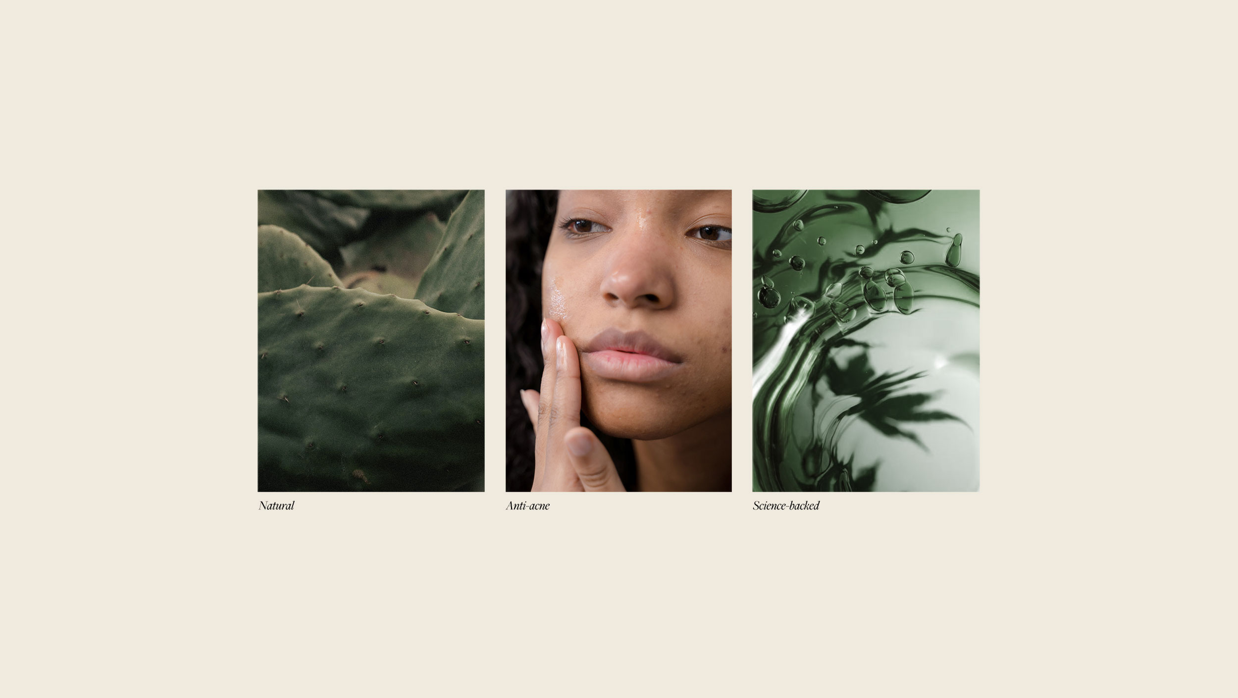 Herbarius - Portfolio Project