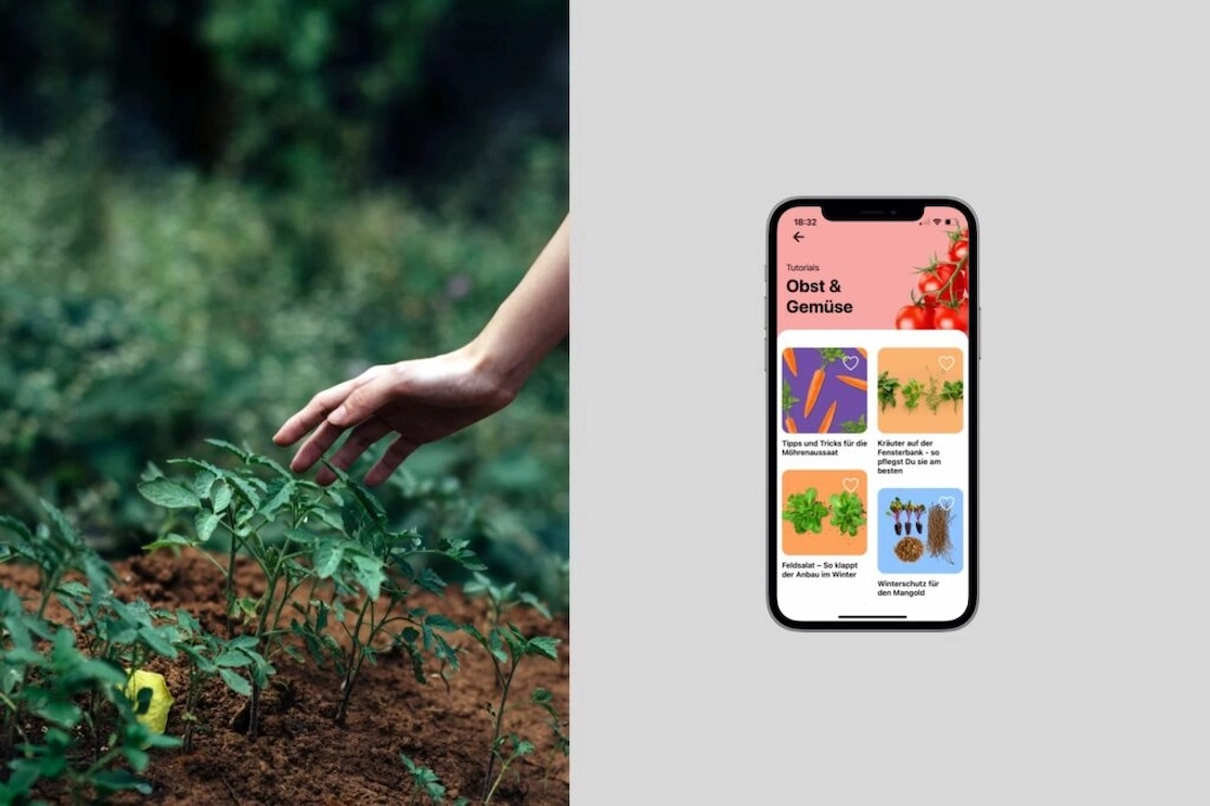 Collage zeigt erdigen Boden und grüne Pflanze. Daneben ein Smartphone, welches eine Übersicht der Tutorials in der myGarden App bietet.