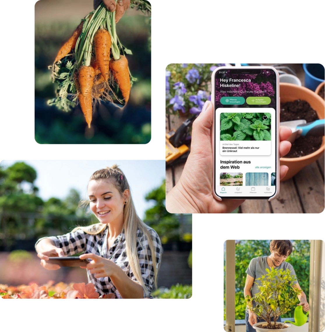 Collage zeigt verschiedene Gartenszenen und eine Hand, welche das Smartphone hält und dabei die myGarden App öffnet