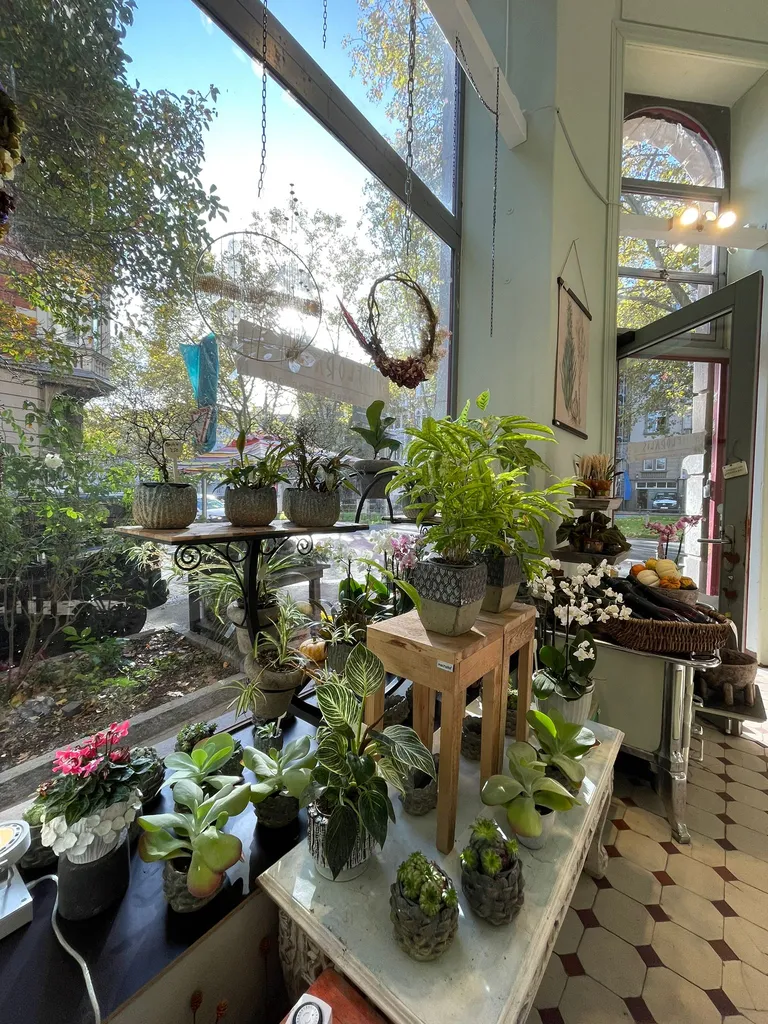 Floralis Wiesbaden Der Florist mit Flair