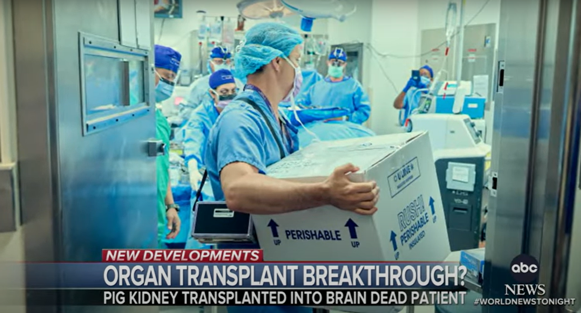 Gene-Edited Pig Kidney Transplanted Successfully into Human