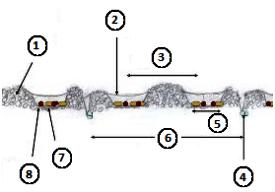 10.2-cm (4-in.) Perma-Loc spoon