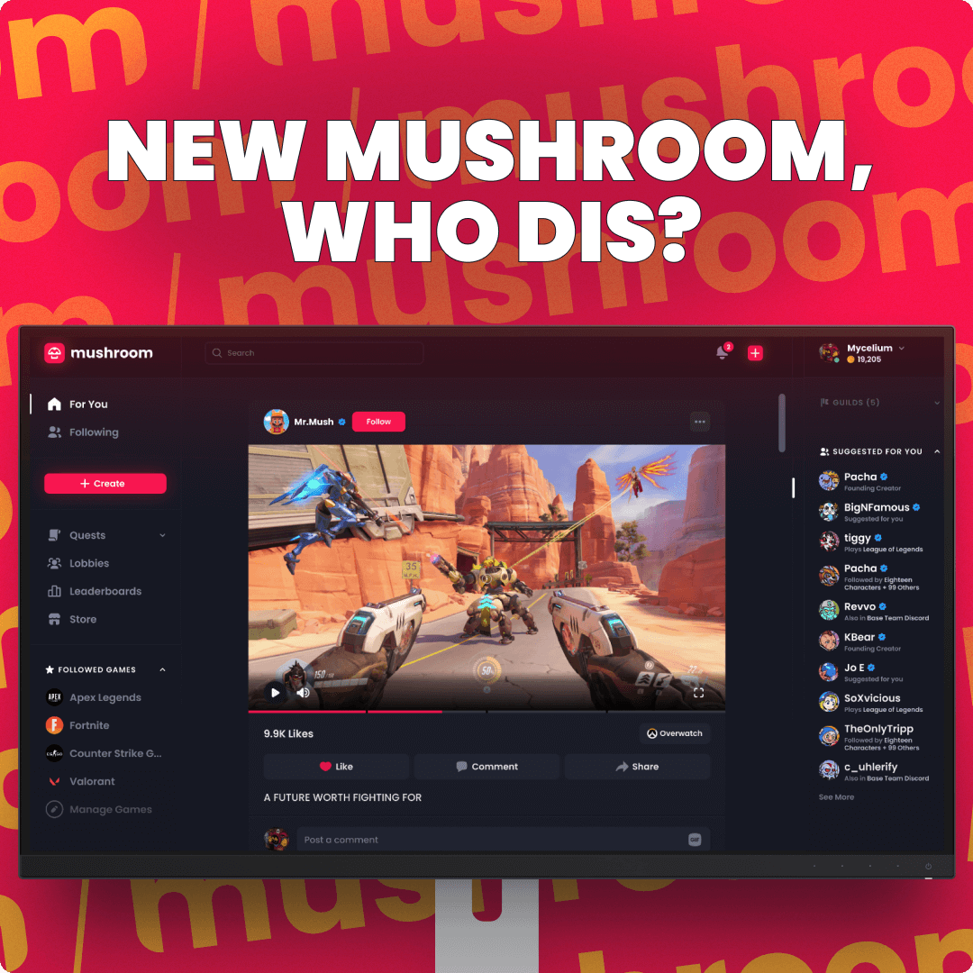 Mushroom Blaze Resources Top Discord Apps